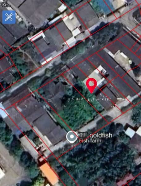 ที่ดินเปล่า 294 ตร.ว. ที่ดินเปล่า ซอยเทศบาล13/3 (ซอยวัดอ้อมใหญ่), Nakhon Pathom, Om Yai, Sam Phran, Nakhon Pathom, , 1,176 sqm, Land For Sale, by คุณ สิรตา โรจน์วิมลการ (กระแต), 500156154 - DDproperty.com