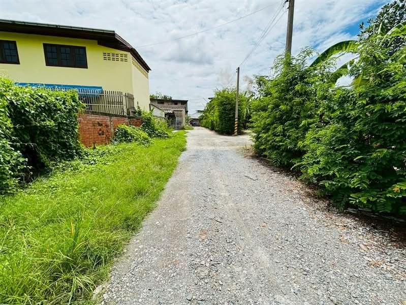 ที่ดินเปล่า 294 ตร.ว. ที่ดินเปล่า ซอยเทศบาล13/3 (ซอยวัดอ้อมใหญ่), Nakhon Pathom, Om Yai, Sam Phran, Nakhon Pathom, , 1,176 sqm, Land For Sale, by คุณ สิรตา โรจน์วิมลการ (กระแต), 500156154 - DDproperty.com