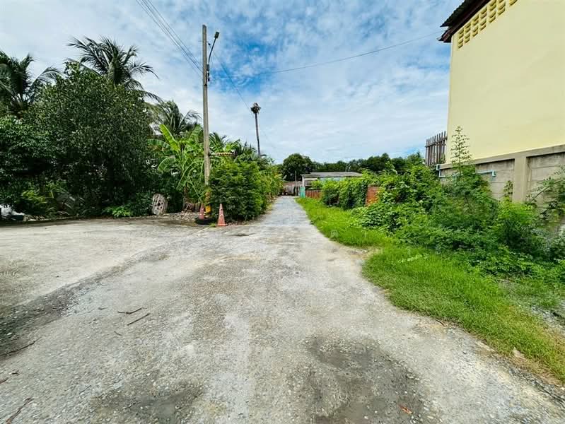 ที่ดินเปล่า 294 ตร.ว. ที่ดินเปล่า ซอยเทศบาล13/3 (ซอยวัดอ้อมใหญ่), Nakhon Pathom, Om Yai, Sam Phran, Nakhon Pathom, , 1,176 sqm, Land For Sale, by คุณ สิรตา โรจน์วิมลการ (กระแต), 500156154 - DDproperty.com