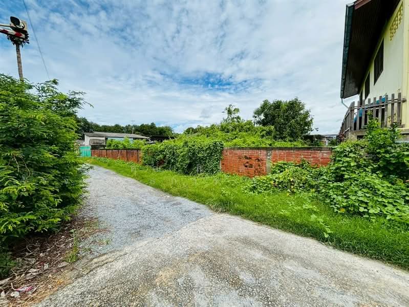 ที่ดินเปล่า 294 ตร.ว. ที่ดินเปล่า ซอยเทศบาล13/3 (ซอยวัดอ้อมใหญ่), นครปฐม, อ้อมใหญ่, สามพราน, นครปฐม, 1,176 ตร.ม., ที่ดิน ขาย, โดย คุณ สิรตา โรจน์วิมลการ (กระแต), 500156154 - DDproperty.com