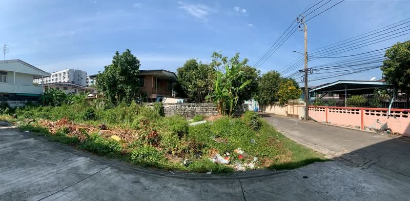 value home Ladprow 87, Bangkok, Wang Thonglang, Wang Thonglang, Bangkok, , 292 sqm, Land For Sale, by แพท วรินทร์ธร , 500156156 - DDproperty.com