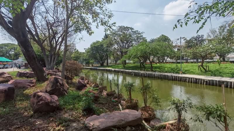 Thanommit Park Building 1, Bangkok, Watcharapol Road, Tha Rang, Bang Khen, Bangkok, 1 Bedroom, 24 sqm, Condo For Sale, by คุณ พลอยวาลินน์ (วาลินน์), 500156223 - DDproperty.com