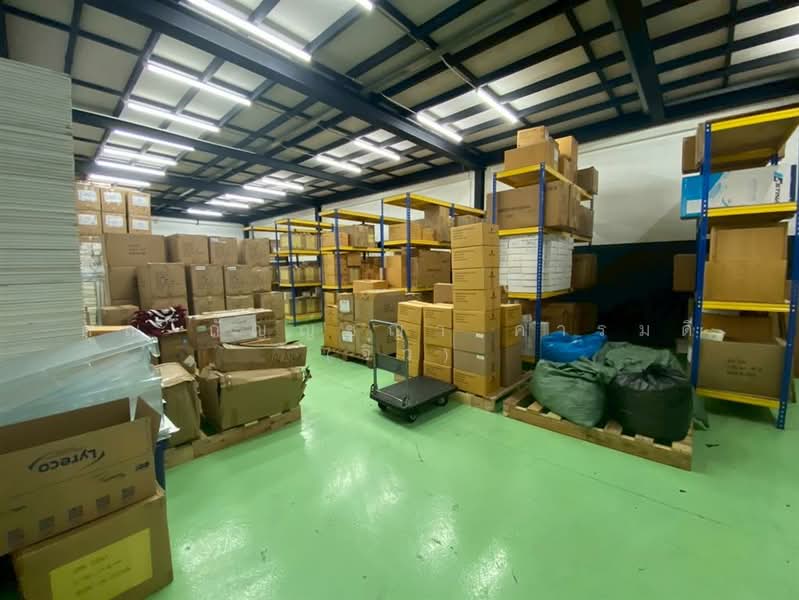 โกดัง + ออฟฟิศ 2 ชั้น 157.3 ตร.ว. โครงการ นิคม MMC แฟคตอรี่ คลองหนึ่ง ใกล้ตลาดไท, ปทุมธานี, คลองหนึ่ง, คลองหลวง, ปทุมธานี, 556 ตร.ม., โกดัง-โรงงาน ขาย, โดย คุณ กัญญ์ชญา คารมดี (จิ๋ว), 500156297 - DDproperty.com
