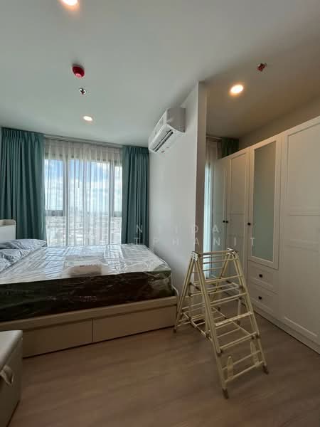 Aspire Sukhumvit-Rama 4, Bangkok, 4404 Rama 4 Road, Phra Kanong, Khlong Toei, Bangkok, 1 Bedroom, 31 sqm, Condo For Rent, by Dontida Wisetphanit, 500156311 - DDproperty.com