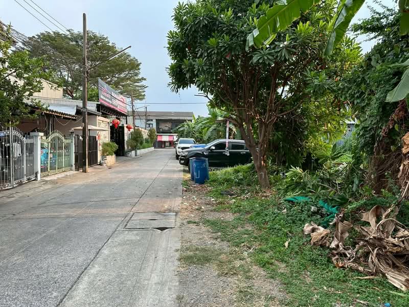 ที่ดิน ลำลูกกา ซอย5 (ซอยย่อยจามร 26ก), Pathum Thani, ลำลูกกา, Khu Khot, Lam Luk Ka, Pathum Thani, , 672 sqm, Land For Sale, by สินรัตน์ ปรีชานุกูล, 500156342 - DDproperty.com