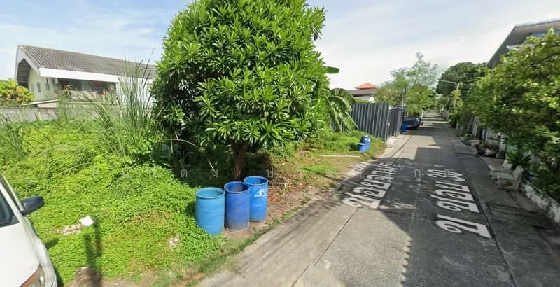 ที่ดิน ลำลูกกา ซอย5 (ซอยย่อยจามร 26ก), Pathum Thani, ลำลูกกา, Khu Khot, Lam Luk Ka, Pathum Thani, , 672 sqm, Land For Sale, by สินรัตน์ ปรีชานุกูล, 500156342 - DDproperty.com