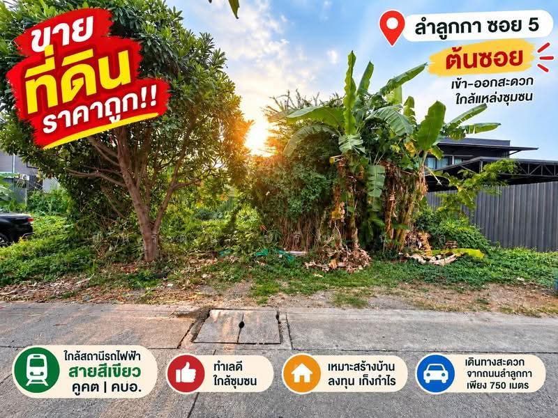 ที่ดิน ลำลูกกา ซอย5 (ซอยย่อยจามร 26ก), Pathum Thani, ลำลูกกา, Khu Khot, Lam Luk Ka, Pathum Thani, , 224 sqm, Land For Sale, by สินรัตน์ ปรีชานุกูล, 500156342 - DDproperty.com
