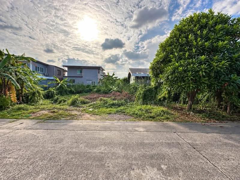 ที่ดิน ลำลูกกา ซอย5 (ซอยย่อยจามร 26ก), Pathum Thani, ลำลูกกา, Khu Khot, Lam Luk Ka, Pathum Thani, , 224 sqm, Land For Sale, by สินรัตน์ ปรีชานุกูล, 500156342 - DDproperty.com