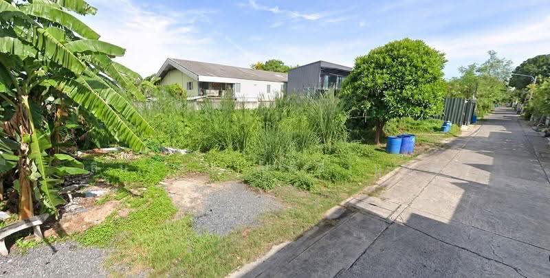 ที่ดิน ลำลูกกา ซอย5 (ซอยย่อยจามร 26ก), Pathum Thani, ลำลูกกา, Khu Khot, Lam Luk Ka, Pathum Thani, , 224 sqm, Land For Sale, by สินรัตน์ ปรีชานุกูล, 500156342 - DDproperty.com