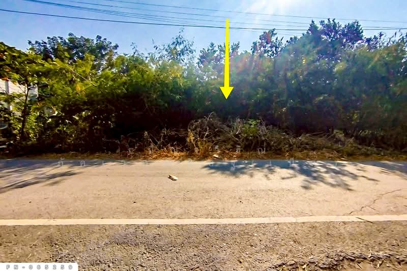 ขาย - FN-065259 ที่ดินเกาะลอย 8 ไร่ 226 ตร.ว.พระนครศรีอยุธยา ใกล้สถานีรถไฟอยุธยา, พระนครศรีอยุธยา