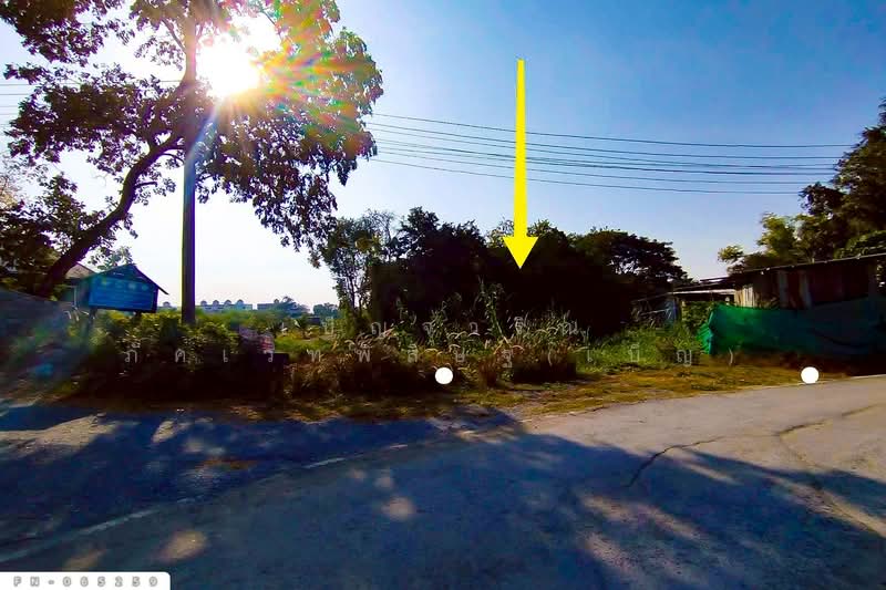 ขาย - FN-065259 ที่ดินเกาะลอย 8 ไร่ 226 ตร.ว.พระนครศรีอยุธยา ใกล้สถานีรถไฟอยุธยา, พระนครศรีอยุธยา