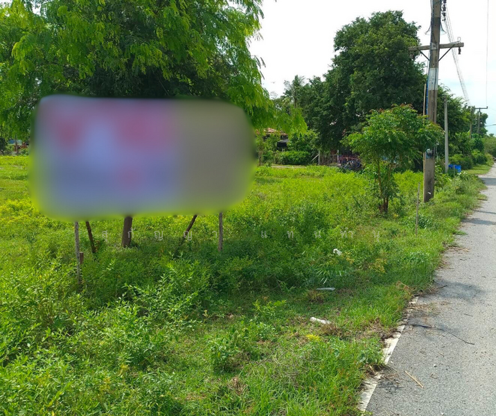 ที่ดิน 10 ไร่ 3 งาน - ต.บ้านสระ อ.สามชุก สุพรรณบุรี, สุพรรณบุรี, บ้านสระ, สามชุก, สุพรรณบุรี, 17,224 ตร.ม., ที่ดิน ขาย, โดย สุกัญญา แทนทำนุ, 500156465 - DDproperty.com