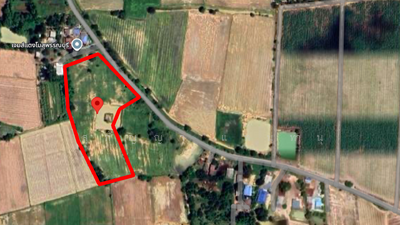 ขาย - ที่ดิน 10 ไร่ 3 งาน - ต.บ้านสระ อ.สามชุก สุพรรณบุรี, สุพรรณบุรี