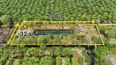 ขาย - ที่ดินเปล่า 2-1-60 ไร่ คลอง 12 หนองเสือ, ปทุมธานี