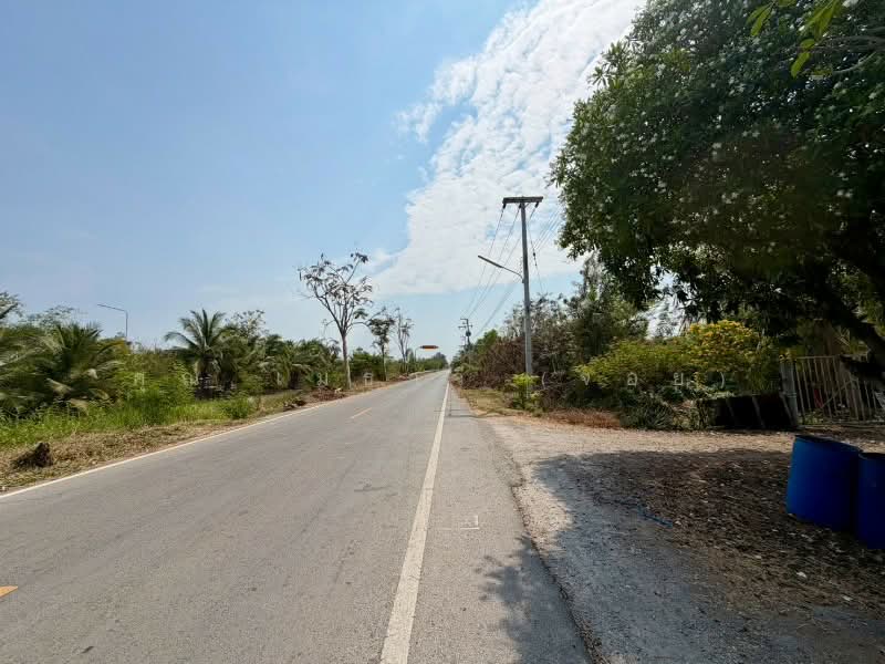 ที่ดินเปล่า 2-1-60 ไร่ คลอง 12 หนองเสือ, Pathum Thani, เลียบคลอง 12, Noparat, Nong Sua, Pathum Thani, , 3,840 sqm, Land For Sale, by คุณ เมธาวี (จอย), 500156520 - DDproperty.com