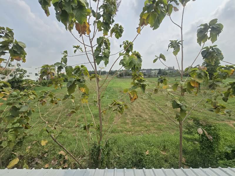 Lanceo Ramintra-Nawamin, Bangkok, Leap Klong Song Road, Bang Chun, Khlong Sam Wa, Bangkok, 5 Bedrooms, 250 sqm, Single Detached House For Sale, by นภัสศรณ์ วงศ์สินไทยกร (นันท์), 500156535 - DDproperty.com