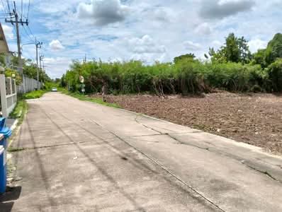 ขาย - ที่ดินเปล่า 275 ตร.ว. ที่ดิน ซอยไทรม้า ซอย16 ถนนรัตนาธิเบศร์, นนทบุรี