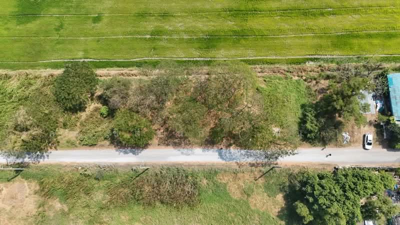 ที่ดินเปล่า 98 ตารางวา ซอยสังฆสันติสุข 38 หนองจอก กรุงเทพฯ ราคาถูก, กรุงเทพ, สังฆสันติสุข, กระทุ่มราย, หนองจอก, กรุงเทพ, 392 ตร.ม., ที่ดิน ขาย, โดย คุณ ชิดชนก ( ฝัน ), 500156774 - DDproperty.com