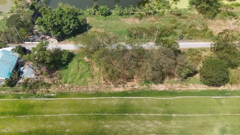 ที่ดินเปล่า 98 ตารางวา ซอยสังฆสันติสุข 38 หนองจอก กรุงเทพฯ ราคาถูก, Bangkok, สังฆสันติสุข, Krathum Rai, Nong Chok, Bangkok, , 392 sqm, Land For Sale, by คุณ ชิดชนก ( ฝัน ), 500156774 - DDproperty.com