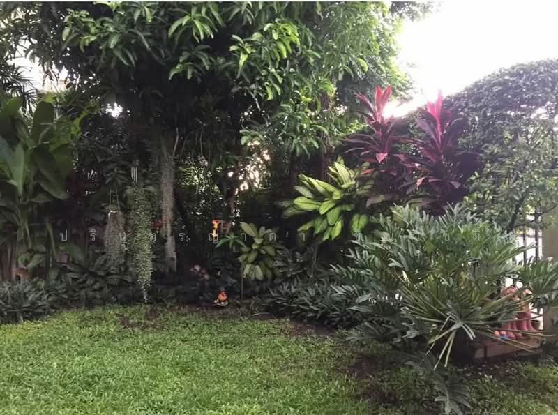 Saransiri Ratchaphruek-Chaengwattana, Nonthaburi, Chaiya Phruk Road, Khlong Khoi, Pak Kret, Nonthaburi, 3 Bedrooms, 180 sqm, Single Detached House For Rent, by ปรินทร์ญาดา ชิณโชติ, 500156833 - DDproperty.com