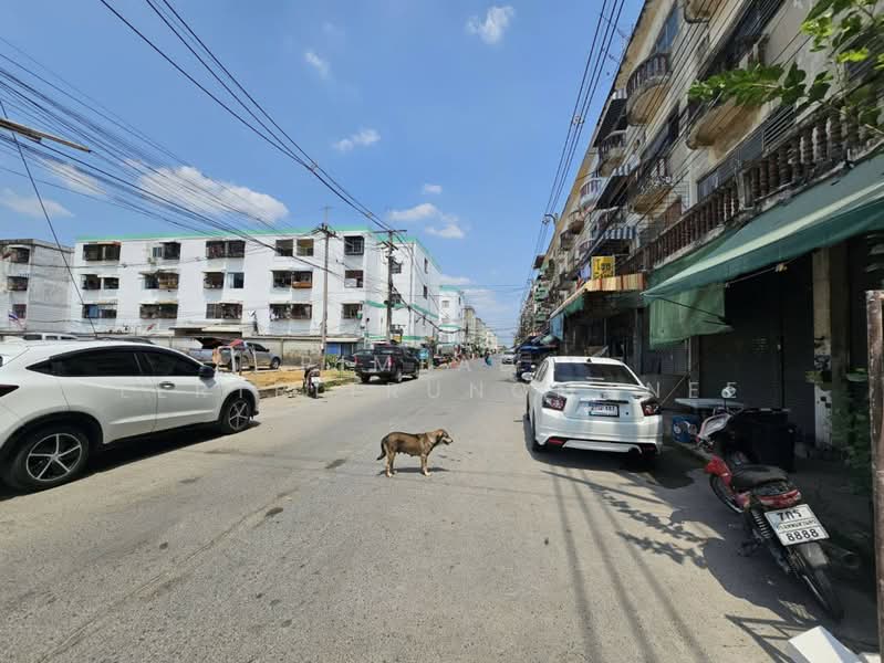 หมู่บ้านช้างทอง, Pathum Thani, Khu Khot, Lam Luk Ka, Pathum Thani, , 240 sqm, Shophouse For Sale, by Pimlada Lertritrungmanee, 500156891 - DDproperty.com