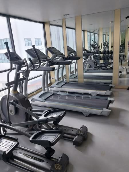 The President Sukhumvit 81, Bangkok, Soi Sukhumvit 81, Sukhumvit Road, Phra Kanong Nua, Watthana, Bangkok, 1 Bedroom, 35 sqm, Condo For Rent, by keymatters property, 500156958 - DDproperty.com