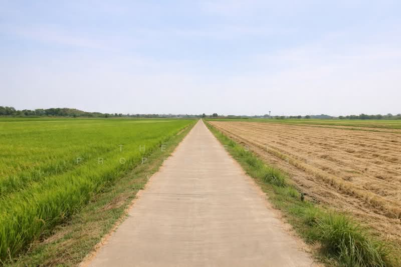 ที่ดินสมอแข พิษณุโลก, Phitsanulok, Samo Khae, Muang Phitsanulok, Phitsanulok, , 23,996 sqm, Land For Sale, by The Best Property  รบ, 500156965 - DDproperty.com