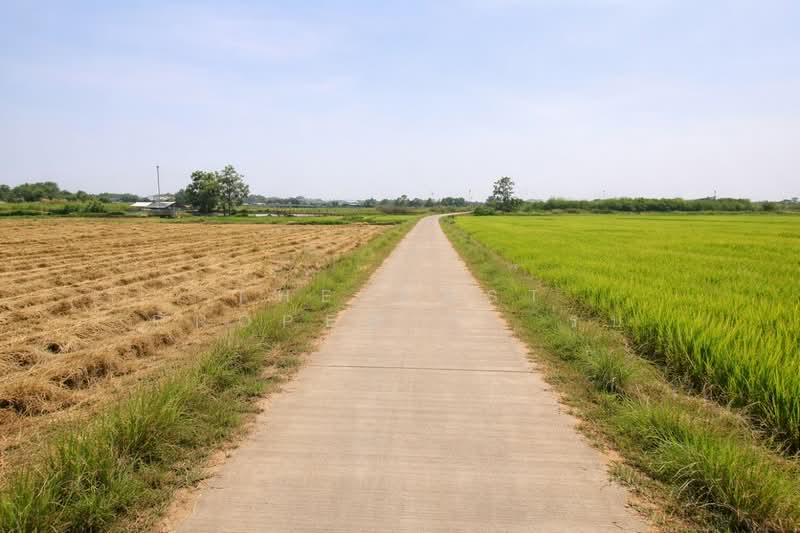 ที่ดินสมอแข พิษณุโลก, พิษณุโลก, สมอแข, เมืองพิษณุโลก, พิษณุโลก, 23,996 ตร.ม., ที่ดิน ขาย, โดย The Best Property  รบ, 500156965 - DDproperty.com