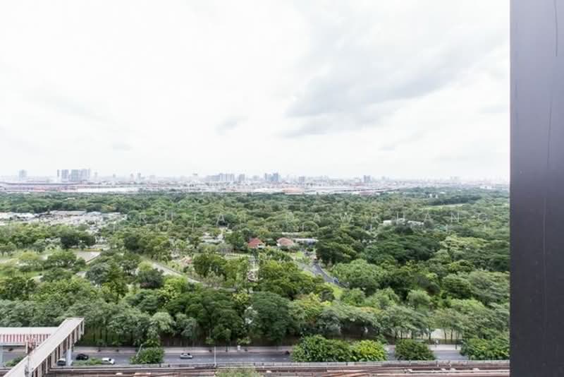 The Line Jatujak-Mochit : เดอะ ไลน์ จตุจักร - หมอชิต, กรุงเทพ, ถนนพหลโยธิน, จอมพล, จตุจักร, กรุงเทพ, 32 ตร.ม., คอนโด ขาย, โดย Kanrutai Dawruang, 500157116 - DDproperty.com