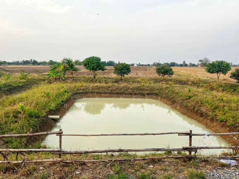 บ้านเดี่ยวพร้อมที่ดินหนองหญ้าไซ สุพรรณบุรี, Suphan Buri, Nong Ya Zai, Nong Ya Sai, Suphan Buri, 2 Bedrooms, 100 sqm, Single Detached House For Sale, by The Best Property แอ้, 500157137 - DDproperty.com