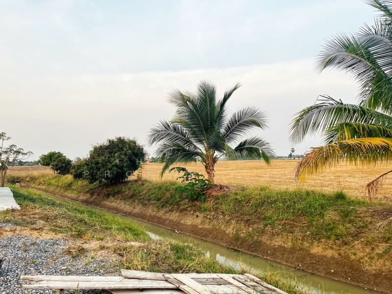 บ้านเดี่ยวพร้อมที่ดินหนองหญ้าไซ สุพรรณบุรี, Suphan Buri, Nong Ya Zai, Nong Ya Sai, Suphan Buri, 2 Bedrooms, 100 sqm, Single Detached House For Sale, by The Best Property แอ้, 500157137 - DDproperty.com