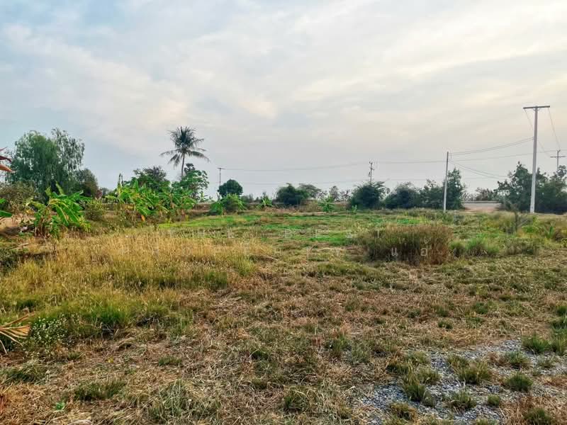 บ้านเดี่ยวพร้อมที่ดินหนองหญ้าไซ สุพรรณบุรี, Suphan Buri, Nong Ya Zai, Nong Ya Sai, Suphan Buri, 2 Bedrooms, 100 sqm, Single Detached House For Sale, by The Best Property แอ้, 500157137 - DDproperty.com