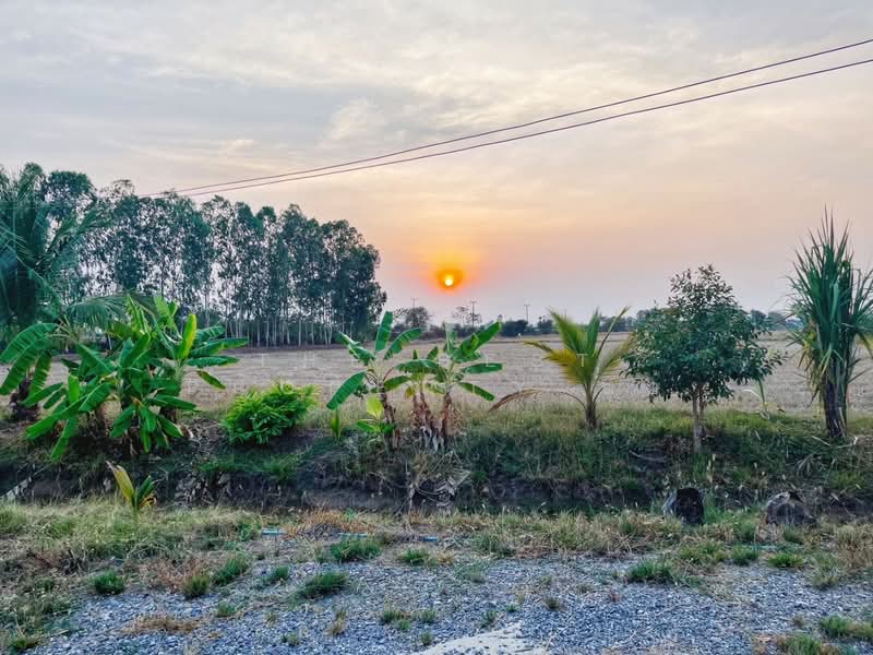 บ้านเดี่ยวพร้อมที่ดินหนองหญ้าไซ สุพรรณบุรี, Suphan Buri, Nong Ya Zai, Nong Ya Sai, Suphan Buri, 2 Bedrooms, 100 sqm, Single Detached House For Sale, by The Best Property แอ้, 500157137 - DDproperty.com