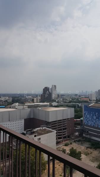 Noble Reveal, Bangkok, 36 Soi Sukhumvit 63, Ekamai Road, Phra Kanong Nua, Watthana, Bangkok, 2 Bedrooms, 83 sqm, Condo For Rent, by Juthabhorn Uppachit (Amy), 500157142 - DDproperty.com