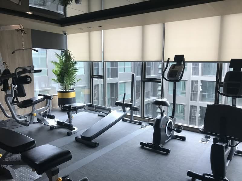 The Tree Sukhumvit 64, Bangkok, Soi Sukhumvit 64, Bang Chak, Phra Khanong, Bangkok, 1 Bedroom, 32 sqm, Condo For Rent, by Thanyalak Premputtiphan, 500157151 - DDproperty.com