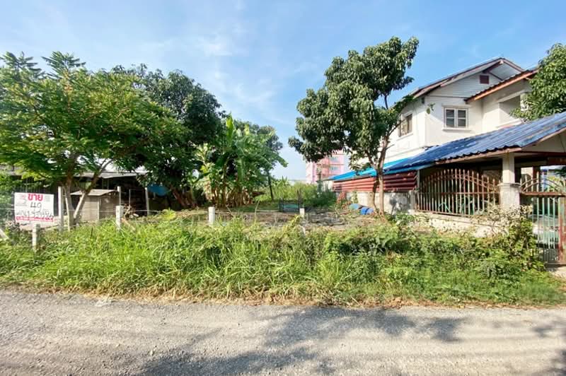 ถนนกรุงเทพกรีฑา, กรุงเทพ, คลองสองต้นนุ่น, ลาดกระบัง, กรุงเทพ, 196 ตร.ม., ที่ดิน ขาย, โดย คุณเมย์, 500157200 - DDproperty.com