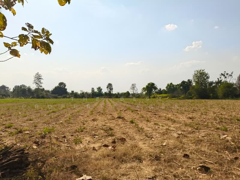ที่ดินพลับพลาชัย บุรีรัมย์, Buri Ram, Chan Dum, Phlapphlachai, Buri Ram, , 18,956 sqm, Land For Sale, by The Best Property Agent ยุ, 500157210 - DDproperty.com