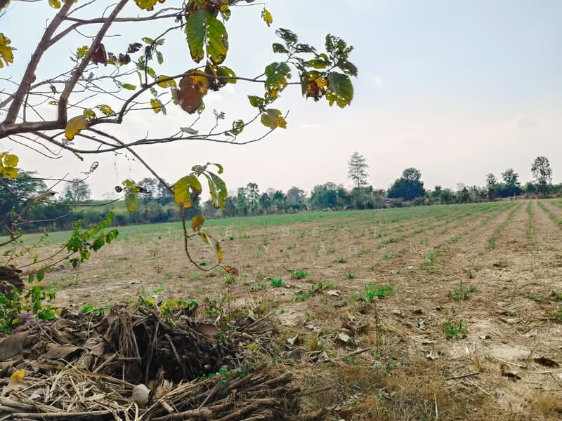 ที่ดินพลับพลาชัย บุรีรัมย์, Buri Ram, Chan Dum, Phlapphlachai, Buri Ram, , 18,956 sqm, Land For Sale, by The Best Property Agent ยุ, 500157210 - DDproperty.com