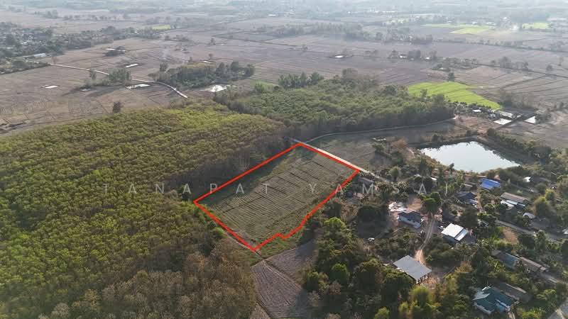 Phan, Chiang Rai, Wieng Hao, Phan, Chiang Rai, , 13,228 sqm, Land For Sale, by Tanapat Yamsai, 500157250 - DDproperty.com