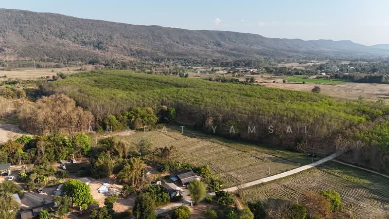 Phan, Chiang Rai, Wieng Hao, Phan, Chiang Rai, , 13,228 sqm, Land For Sale, by Tanapat Yamsai, 500157250 - DDproperty.com