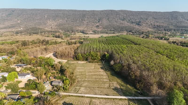 Phan, Chiang Rai, Wieng Hao, Phan, Chiang Rai, , 13,228 sqm, Land For Sale, by Tanapat Yamsai, 500157250 - DDproperty.com