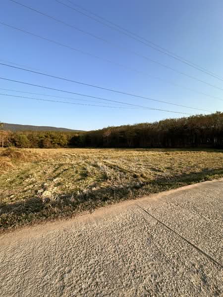 Phan, Chiang Rai, Wieng Hao, Phan, Chiang Rai, , 13,228 sqm, Land For Sale, by Tanapat Yamsai, 500157250 - DDproperty.com