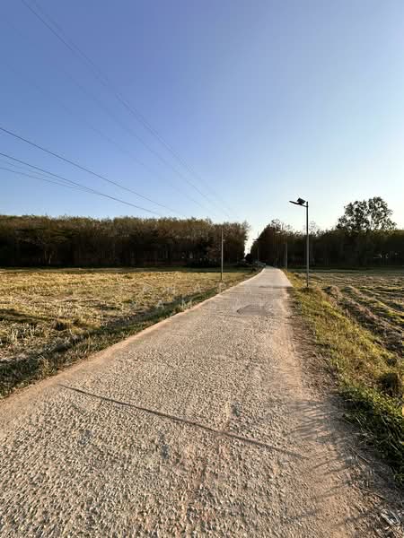 ขาย - พาน, เชียงราย