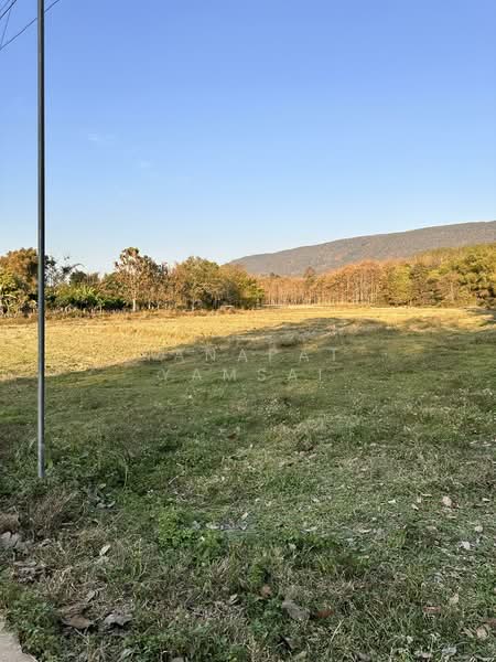 For Sale - Phan, Chiang Rai