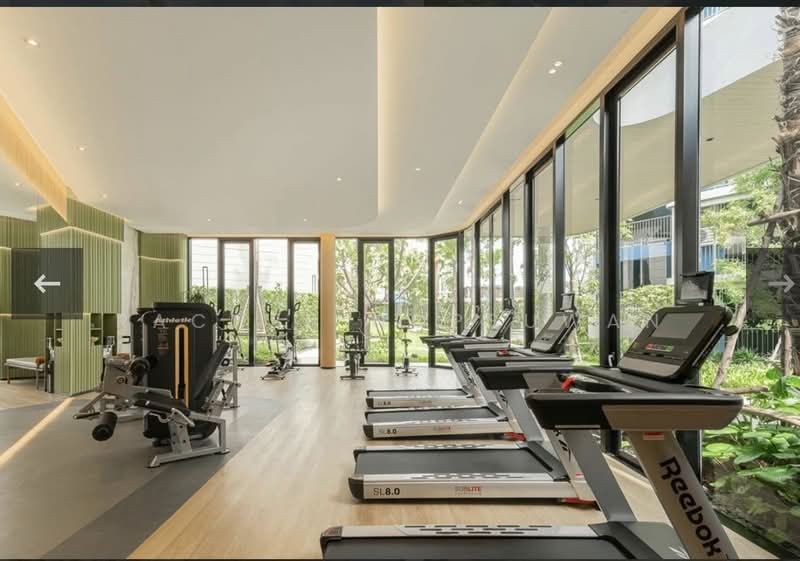 DCondo Reef, Phuket, 78 Soi Dara, Kathu, Kathu, Phuket, 1 Bedroom, 29 sqm, Condo For Rent, by Rachen Nopsuwan, 500157270 - DDproperty.com