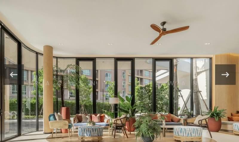 DCondo Reef : ดีคอนโด รีฟ, ภูเก็ต, 78 ซอยดารา, กะทู้, กะทู้, ภูเก็ต, 29 ตร.ม., คอนโด ให้เช่า, โดย Rachen Nopsuwan, 500157270 - DDproperty.com