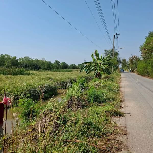 ที่ดินเปล่า800ตรว. ถ.เลียบคลองหนองเสือ คลอง8, ปทุมธานี, บึงชำอ้อ, หนองเสือ, ปทุมธานี, 3,200 ตร.ม., ที่ดิน ขาย, โดย AJHOMECENTER - คุณนัท, 500157277 - DDproperty.com