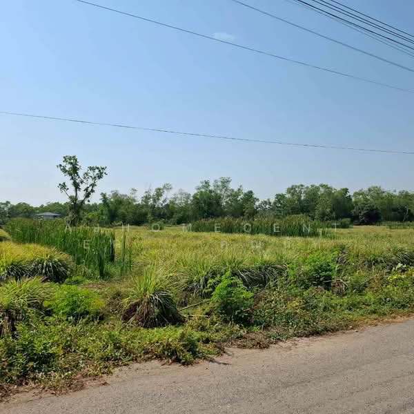 ที่ดินเปล่า800ตรว. ถ.เลียบคลองหนองเสือ คลอง8, Pathum Thani, Bung Cham O, Nong Sua, Pathum Thani, , 3,200 sqm, Land For Sale, by AJHOMECENTER - คุณนัท, 500157277 - DDproperty.com