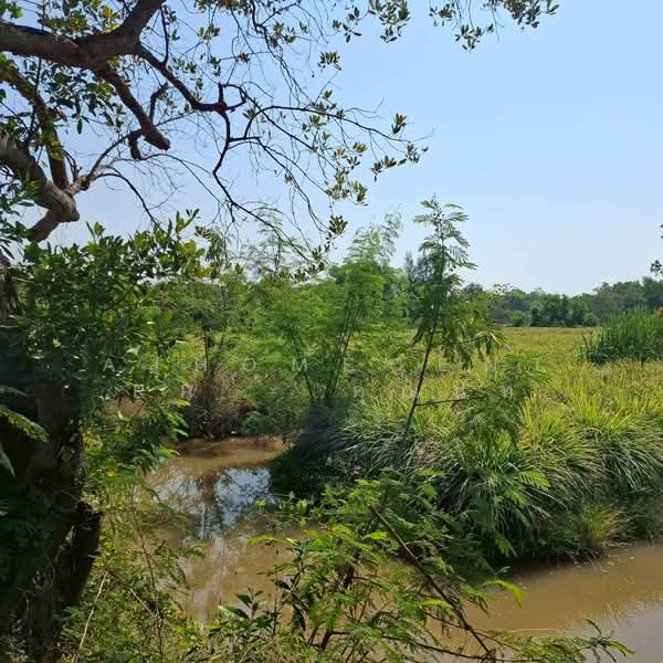 ที่ดินเปล่า800ตรว. ถ.เลียบคลองหนองเสือ คลอง8, Pathum Thani, Bung Cham O, Nong Sua, Pathum Thani, , 3,200 sqm, Land For Sale, by AJHOMECENTER - คุณนัท, 500157277 - DDproperty.com