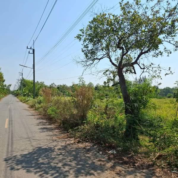 ที่ดินเปล่า800ตรว. ถ.เลียบคลองหนองเสือ คลอง8, ปทุมธานี, บึงชำอ้อ, หนองเสือ, ปทุมธานี, 3,200 ตร.ม., ที่ดิน ขาย, โดย AJHOMECENTER - คุณนัท, 500157277 - DDproperty.com